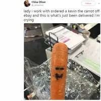 Barang yang dibeli dari online shop ini bikin gagal paham. (Sumber Foto: Buzzfeed)