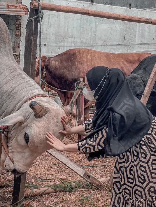 Ricis Ricis mengaku langsung sayang dengan sapinya itu dan sempat meminta saran nama dari netizen. "Langsung sayang banget sama kamu ❤️ bantu kasih nama dong temen-temen..," tulis Ricis di keterangan Instagram. (Instagram/riaricis1795)