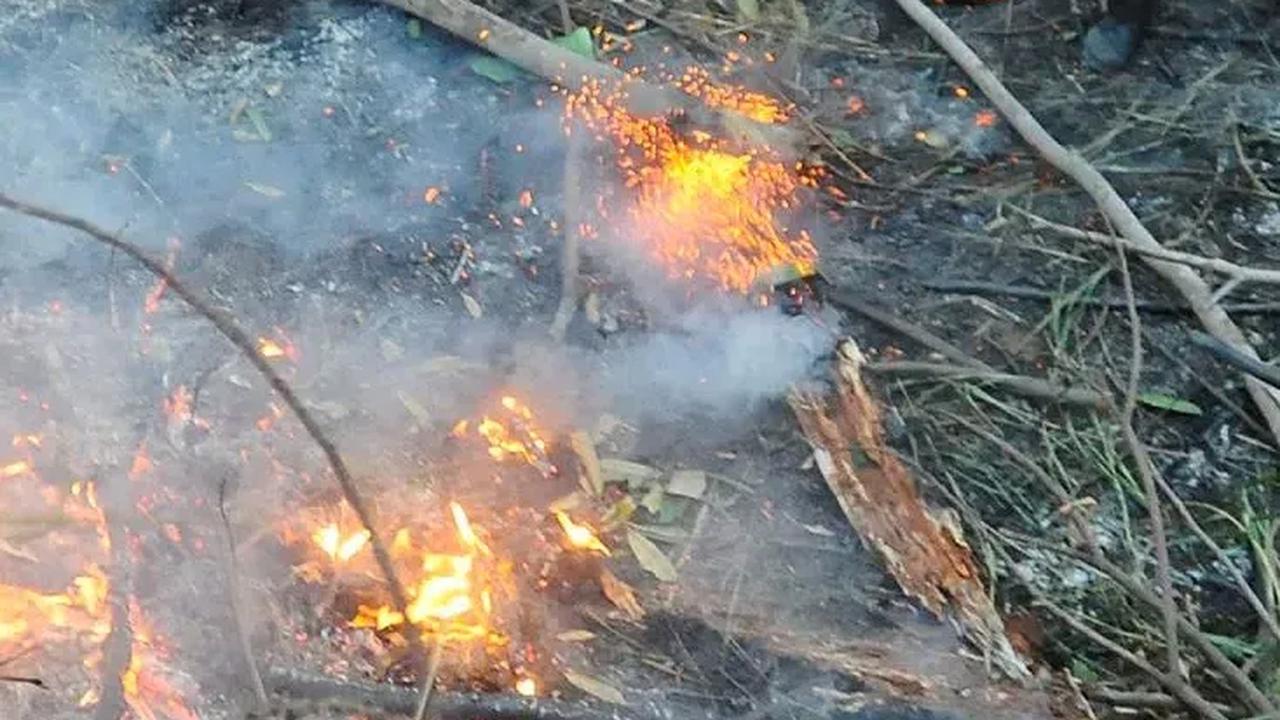 FOTO: Petaka Puntung Rokok Nyaris Membakar Habis Hutan Kota di Perumahan Batan Indah Tangerang Selatan