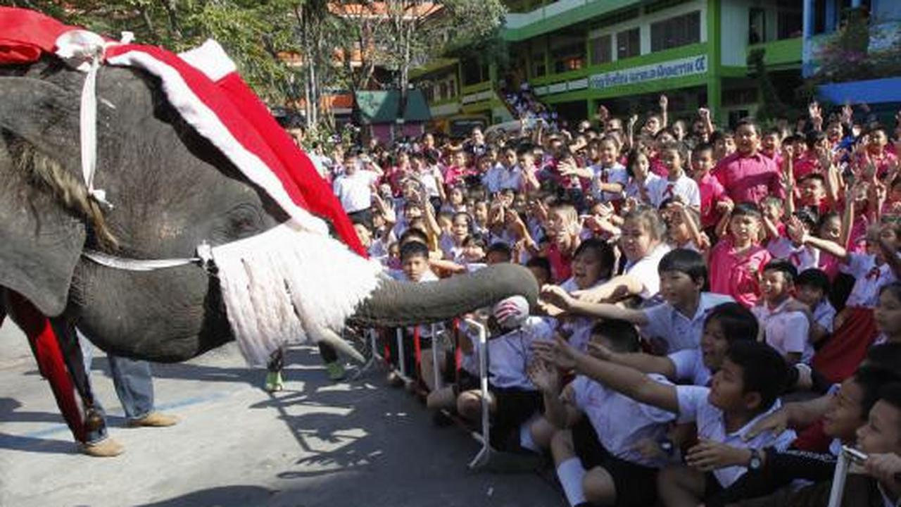 Gajah berkostum Santa Claus hibur para siswa di Bangkok