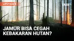 Di Amerika Serikat, para rimbawan berupaya meminimalisasi ancaman karhutla dengan jamur. Para ilmuwan di Rocky Mountains, Colorado, sedang meneliti bagaimana jamur mengurangi risiko kebakaran hutan secara alami.