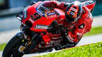 Pebalap Ducati, Danilo Petrucci, saat beraksi pada tes pramusim MotoGP 2019 di Sirkuit Sepang, Kamis (7/2). Pada tes pramusim kali ini Maverick Vinales menduduki posisi pertama dengan catatan waktu 1 menit 58.897 detik. (AFP/Mohd Rasfan)