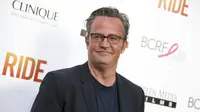 Matthew Perry. (Rich Fury/Invision/AP, File)