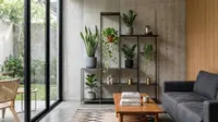 8 Tanaman Minimalis Ruang Indoor Unik, Perawatan Mudah untuk Hunian Estetik