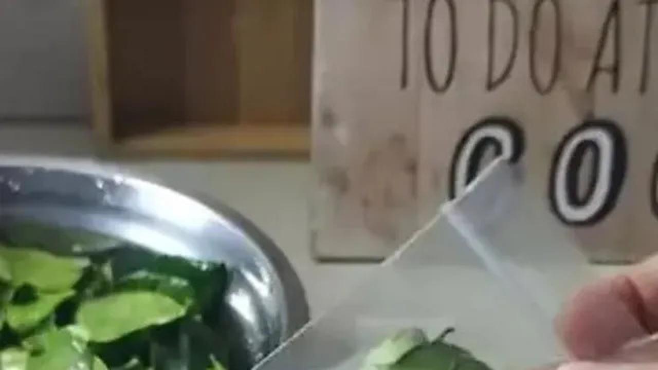 Cara Menyimpan Daun Jeruk Agar Tetap Segar dan Awet Hingga 3 Bulan
