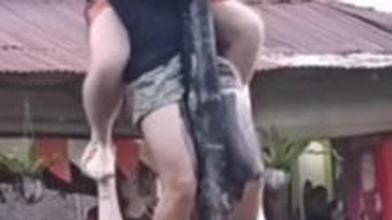 Asli Bikin Ngakak, Bule Ikut Lomba Panjat Pinang Meriahkan Hut Ke-78 di Bukit Lawang