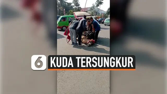 kuda tersungkur thumbnail