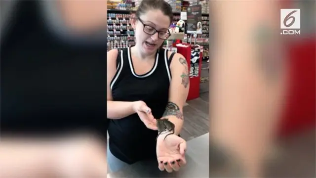 Seorang wanita menggunakan cara unik untuk membawa hewan yang baru saja ia temukan yakni dengan memasukkan 3 ekor bayi tikus ke dalam bra.