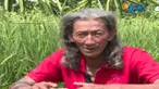 Meneliti selama 12 tahun, Surono Danu hasilkan bibit padi unggul di Lampung.