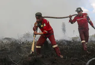 Petugas pemadam kebakaran  memadamkan kebakaran hutan pada lahan gambut seluas lebih dari 100 hektar) di Pulang Pisau, Provinsi Kalimantan Tengah, Indonesia, Jumat, 31 Juli 2026.  (AFP/ Reina)