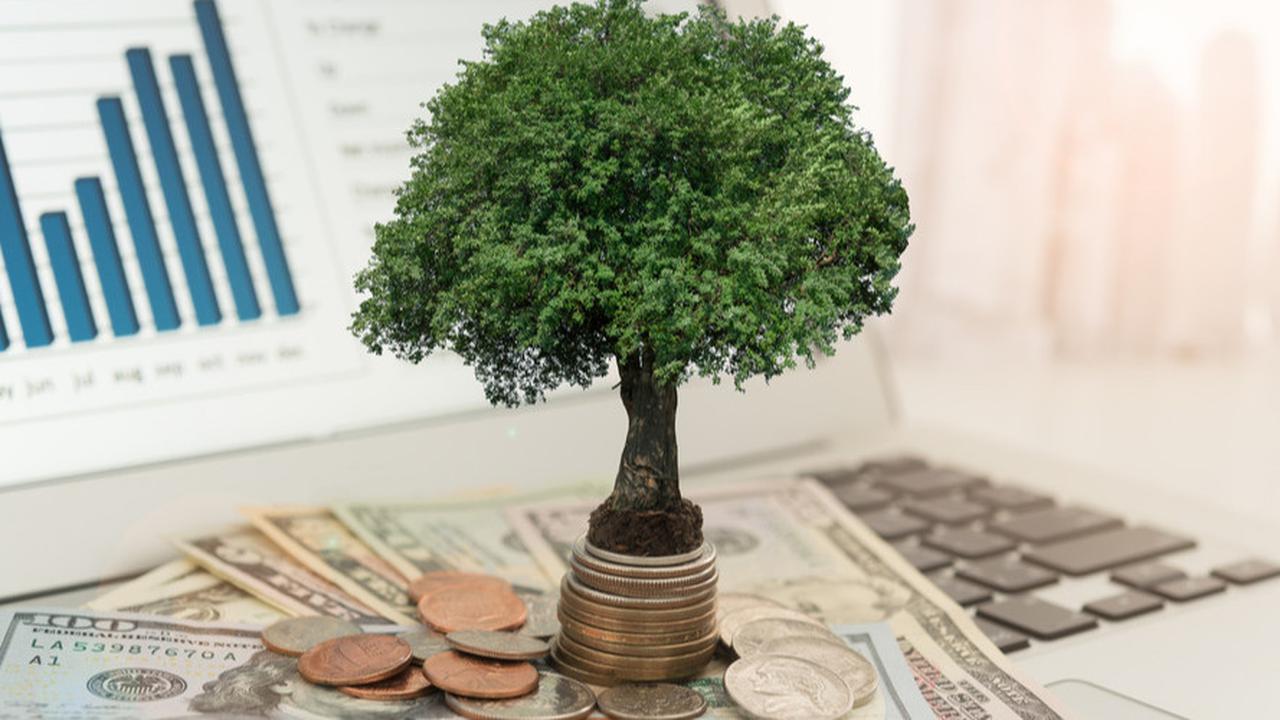 Banyak Orang Tak Tahu, Begini Tips Memulai Investasi untuk Gen Z