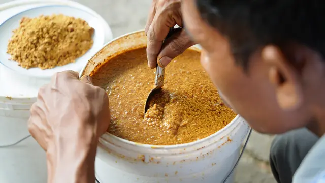 Cara Membuat Pakan Fermentasi Ayam Kampung (Foto: Reve Art AI)