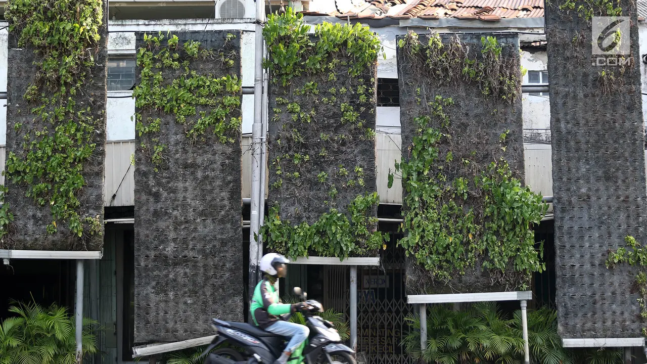Taman Vertikal di Tugu Tani Kini Kumuh