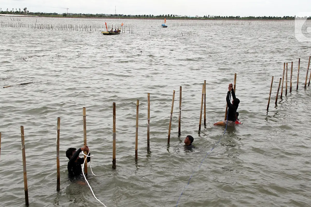 Secara Serentak, Ribuan Personel Gabungan Bersama Nelayan Bongkar Pagar Laut di Tangerang