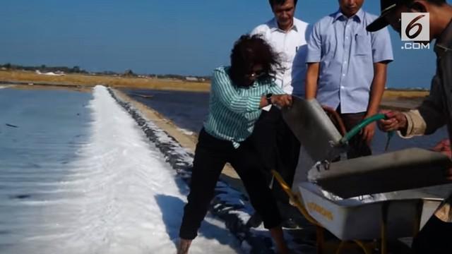 Wakil gubernur terpilih DKI Jakarta Sandiaga Uno Mengkritik pemerintah soal impor garam, padahal Indonesia memiliki laut luas.