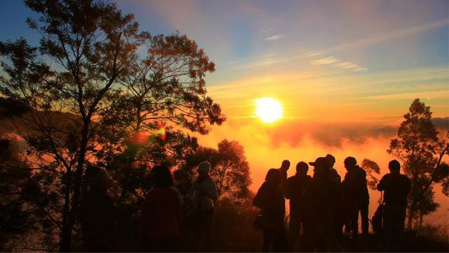 Menikmati Indahnya Golden Sunrise di Bukit Sikunir