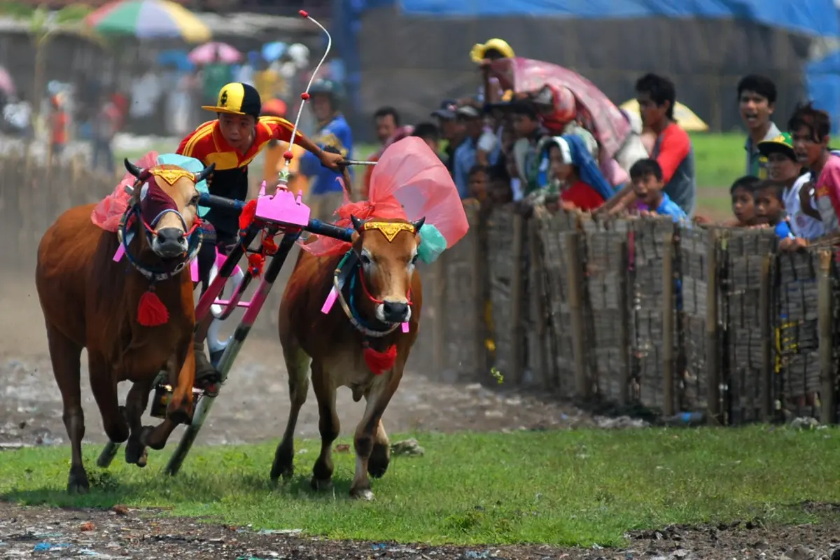 6 Fakta Menarik Kabupaten Sampang yang Eksis Sejak Abad ke-7