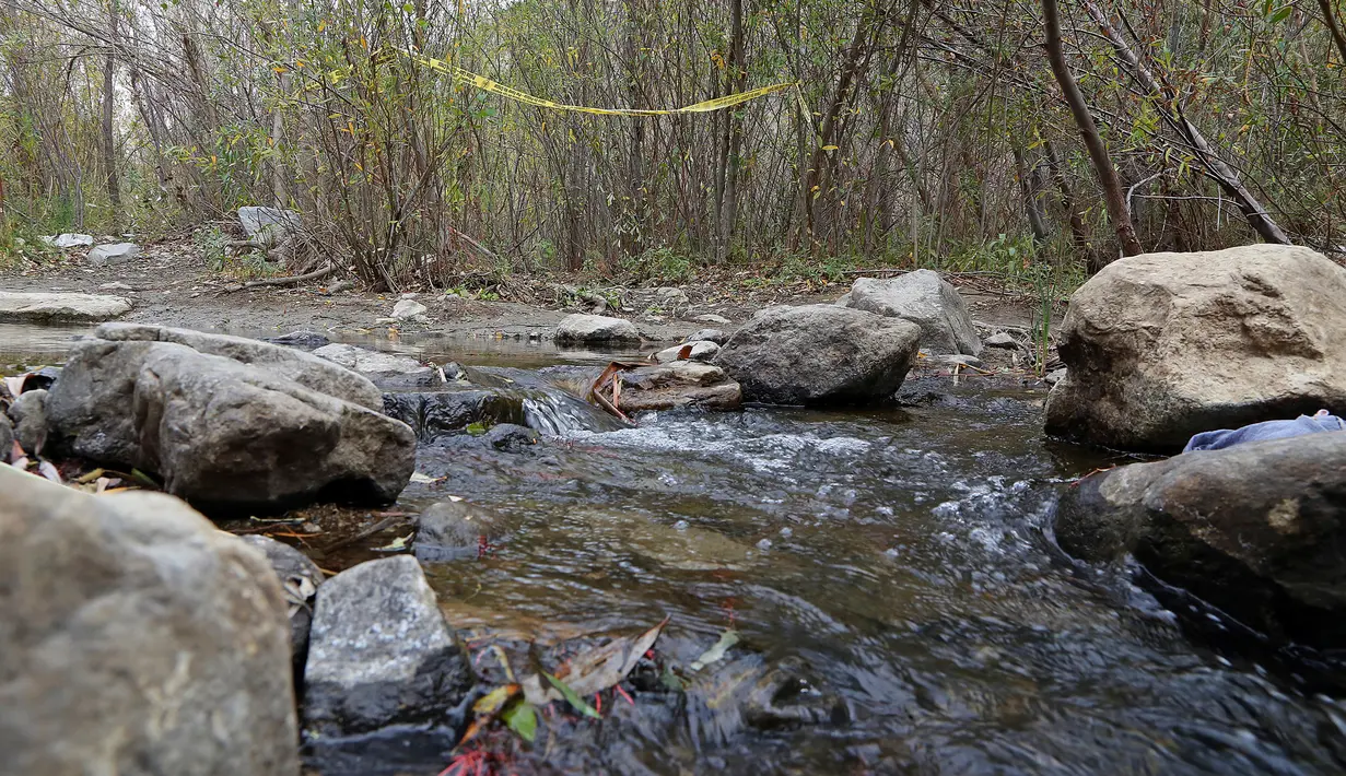 Lokasi bunuh diri aktor Glee, Mark Salling (35), di area hutan dekat Tujunga, daerah tempat tinggalnya di Sunland, Los Angeles, Selasa (30/1). Pemeran Noah ‘Puck’ Puckerman itu dinyatakan tewas pada Selasa (30/1) pukul 9.00 waktu setempat. (AP/Reed Saxon)