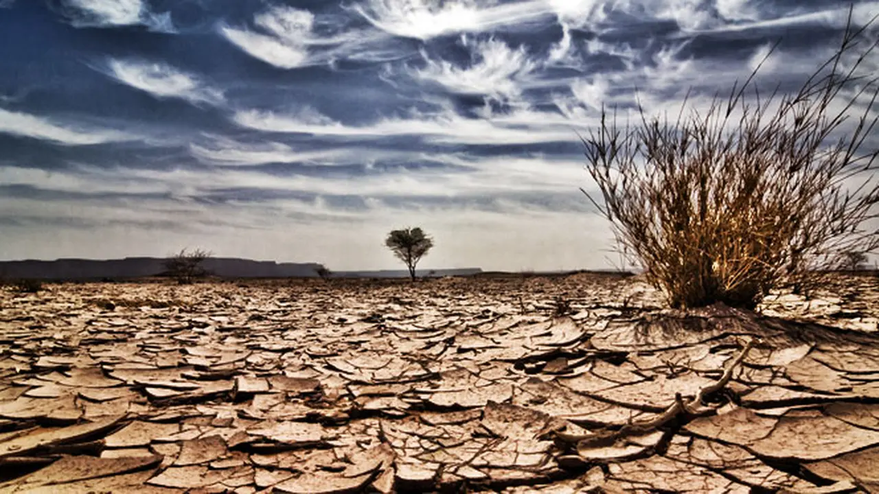 Ilustrasi Liputan Khusus El Nino