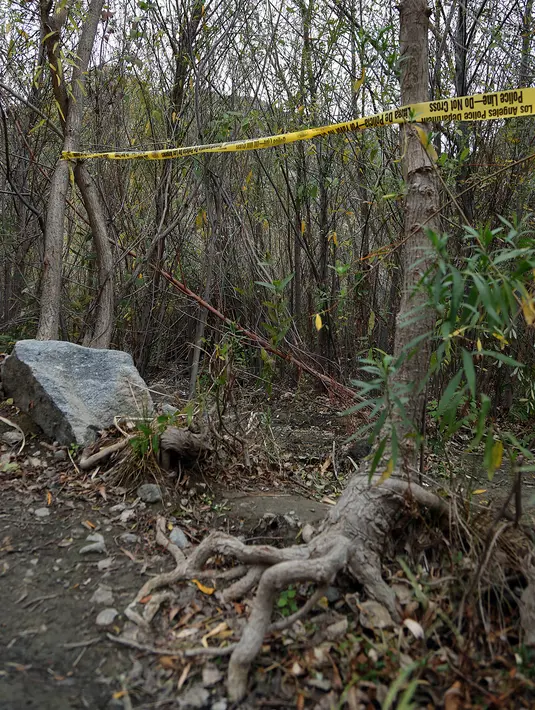 Garis polisi dipasang di lokasi bunuh diri aktor Glee, Mark Salling (35), di area hutan dekat Tujunga, daerah tempat tinggalnya di Sunland, Los Angeles, Selasa (30/1). Salling diperkirakan menghabisi nyawanya sendiri dengan gantung diri. (AP/Reed Saxon)