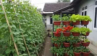 8 Ide Kebun Kacang-Kacangan dan Sayur yang Mudah Ditanam di Rumah, Hemat Ruang dengan Pot dan Vertikal