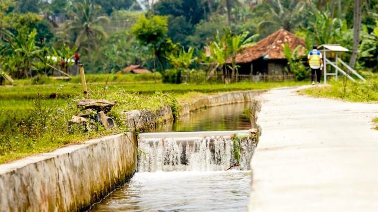 Percepatan Irigasi Pertanian Jadi Fondasi Utama Swasembada Beras Nasional