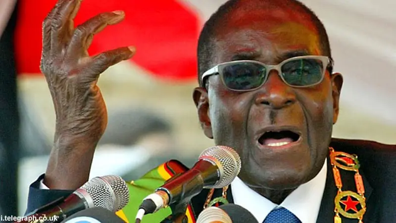 robert-mugabe-130728b.jpg