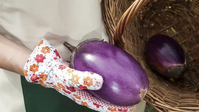 Copyright by Thinkstock.com