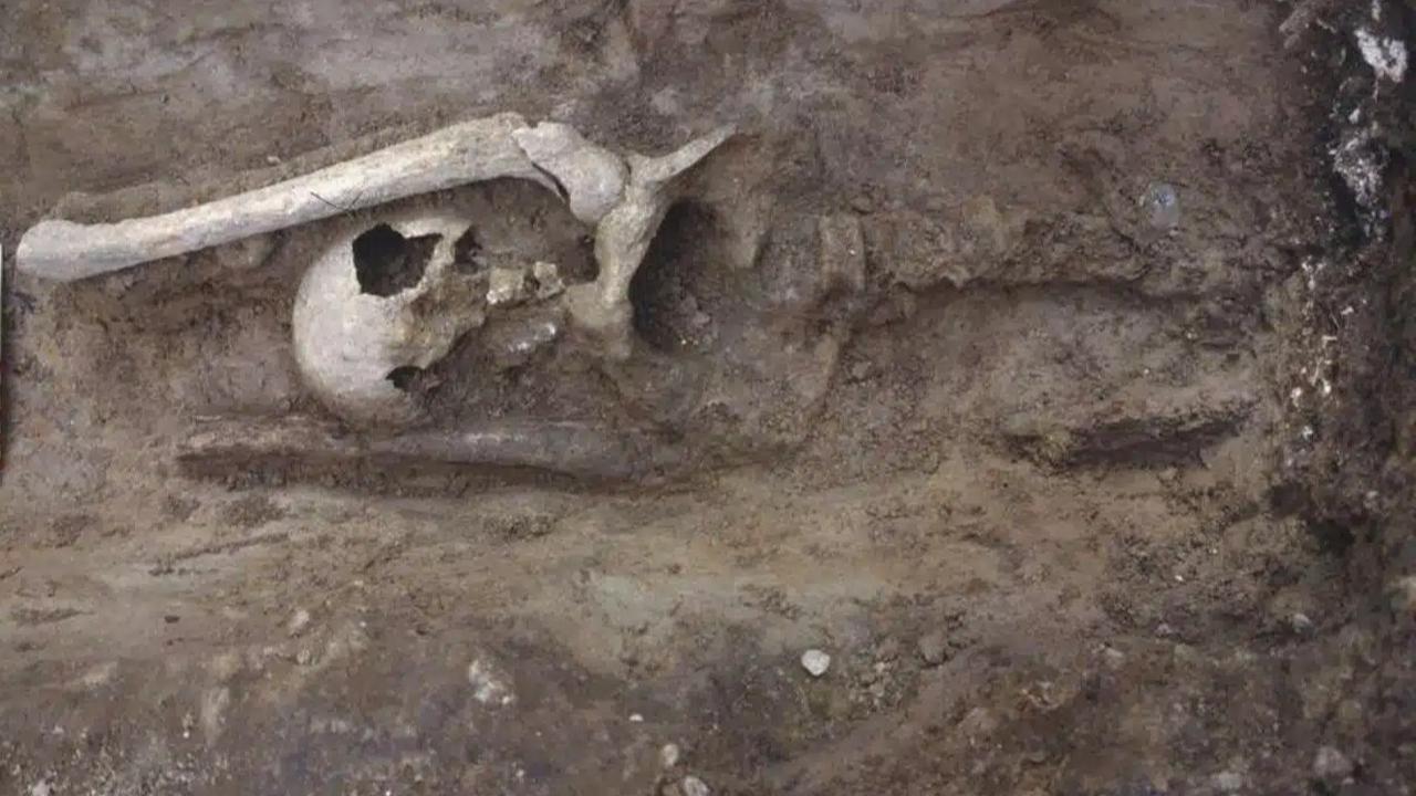 Gali Makam Kuno Baru 30 Sentimeter di Bawah Tanah, Arkeolog Temukan Kerangka Perempuan Dipenggal Berusia 4.700 Tahun
