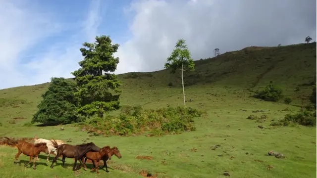 Gunung Sabampolulu terletak di Pegunungan Malapulu Sulawesi Selatan. (Dok: Gunung Bagging https://www.gunungbagging.com/sabampolulu/)