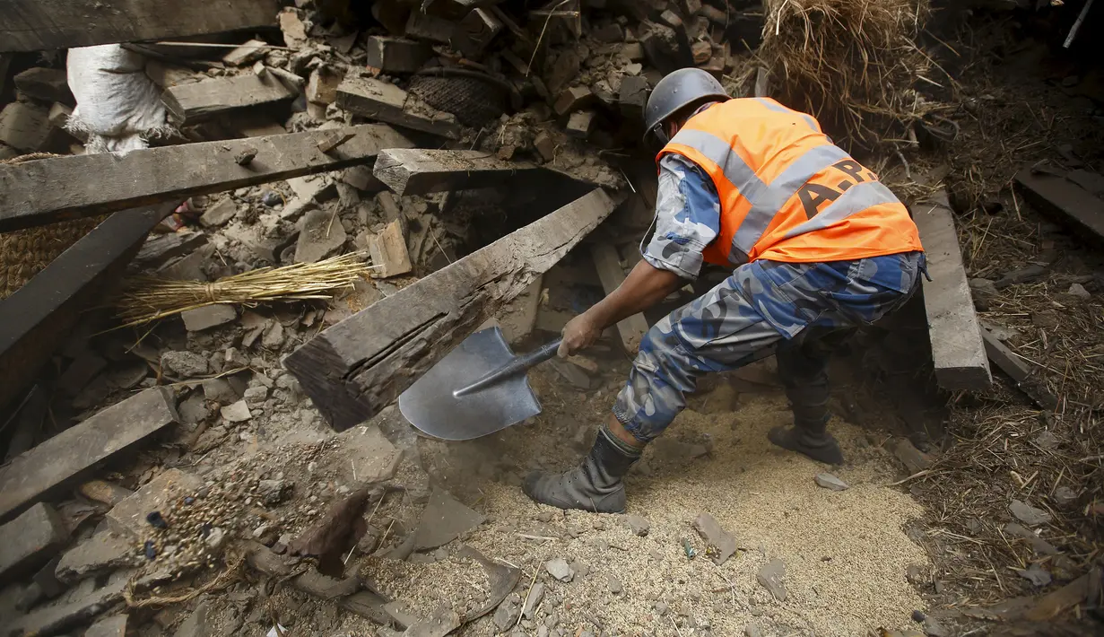 Seorang petugas sedang mencari korban yang tertimbun akibat gempa berkekuatan 7,8 skala Richter, Nepal, Minggu (26/4/2015). Dikabarkan sekitar 500 orang lebih tewas dalam peristiwa tersebut (Reuters/Navesh Chitrakar)