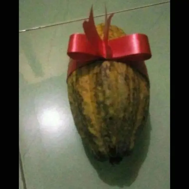 6 Potret Hadiah Cokelat Nyeleneh Ini Bikin Senyum Tipis, Jadi Gagal Romantis