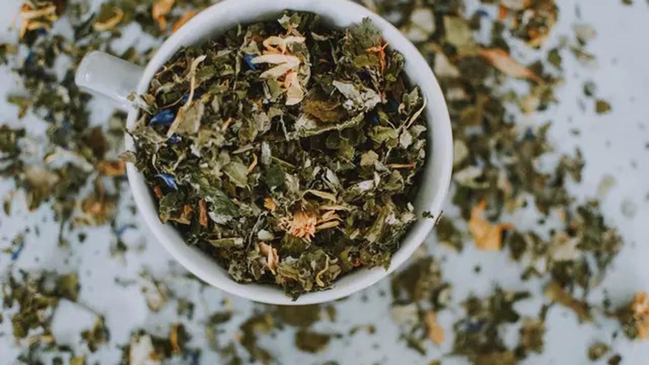 7 Manfaat Minum Teh Daun Mangga, Salah Satunya Mengontrol Kadar Gula Darah