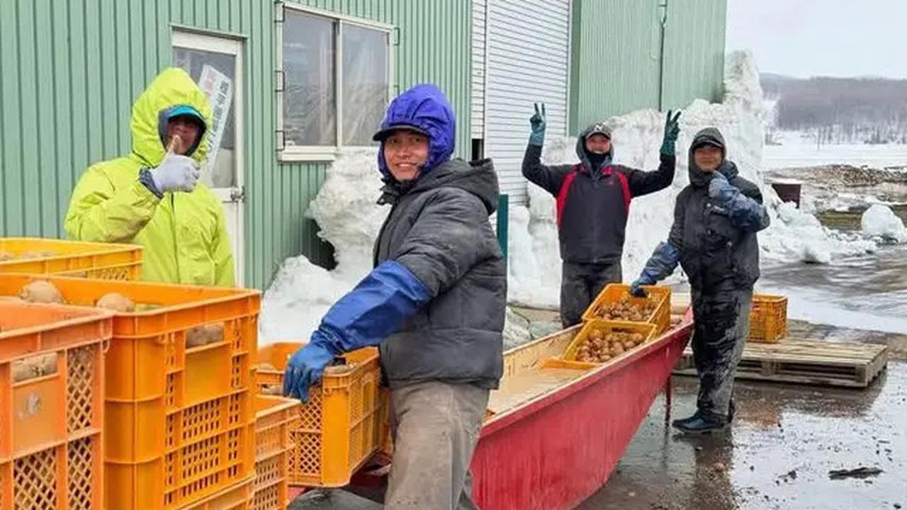 Puluhan Ribu Pekerja RI Bakal Dikirim ke Jepang, Cari Kerja di Indonesia Makin Susah?