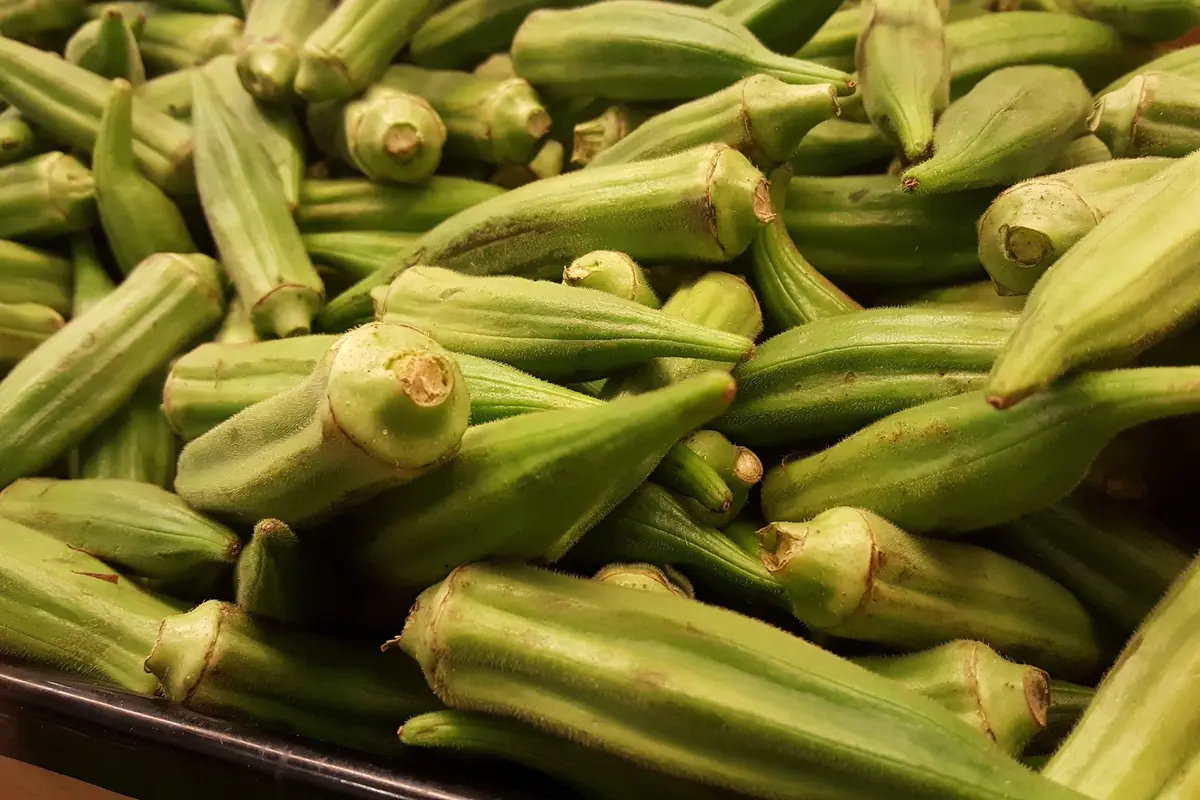 Manfaat Okra