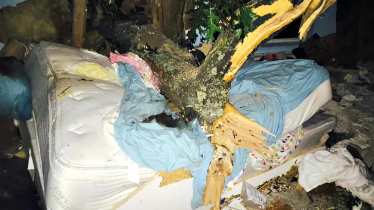 Wanita Terjebak Pohon Roboh di Tempat Tidur