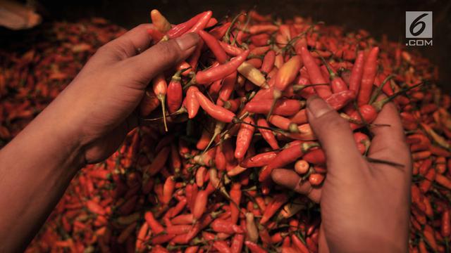 Harga Cabai di Pasar Induk Kramat Jati