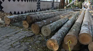 Tumpukan bahan baku batang pohon pinang di kawasan Manggarai, Jakarta, Rabu (9/8/2023). (Liputan6.com/Herman Zakharia)