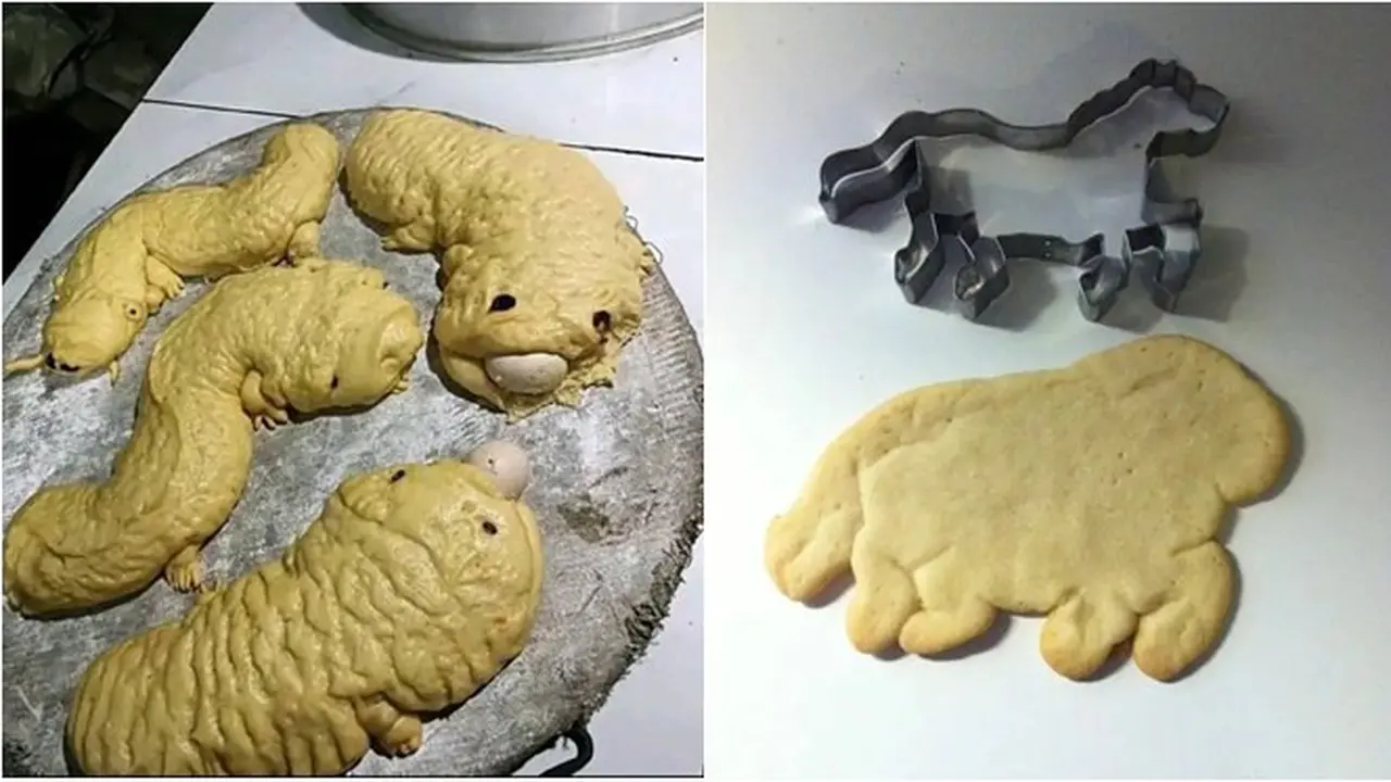 8 Potret Gagal Bikin Kue Bikin Geleng Kepala, Melebar Usai di Oven