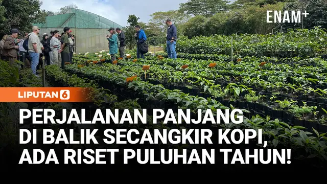 Dari Kosta Rika ke Tanganmu, Simak Perjalanan Panjang di Balik Secangkir Kopi!