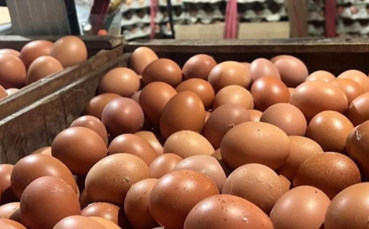 Harga Bawang Merah Turun, Tapi Telur Ayam Naik! Ini Update Harga Pangan Terbaru