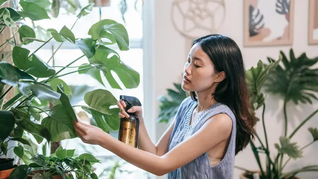 2. Mengurangi Risiko Iritasi Saluran Pernapasan