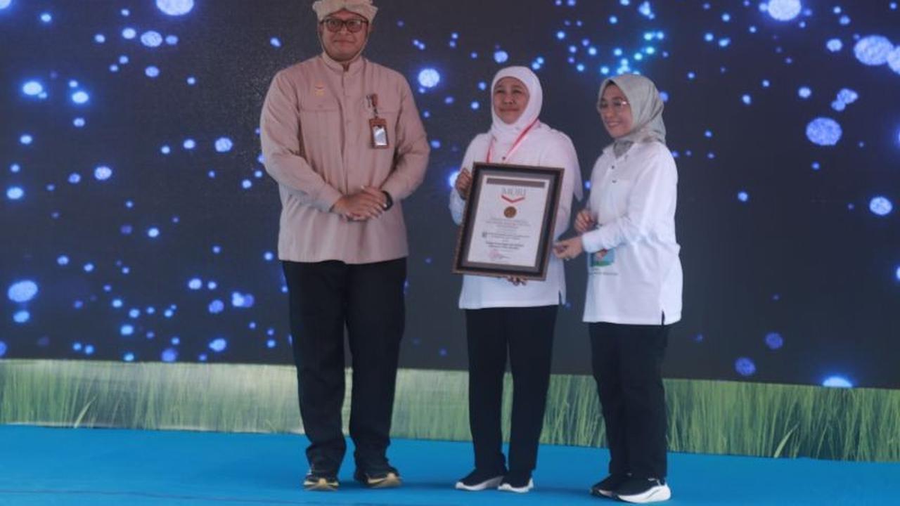 Pemprov Jatim Pecahkan Rekor MURI: Jutaan Sapi Berhasil Diinseminasi Buatan