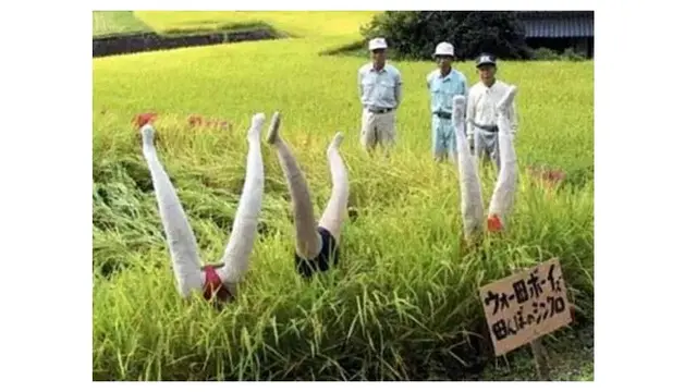 6 Orang-Orangan Sawah Antimainstream Ini Bikin Geleng Kepala