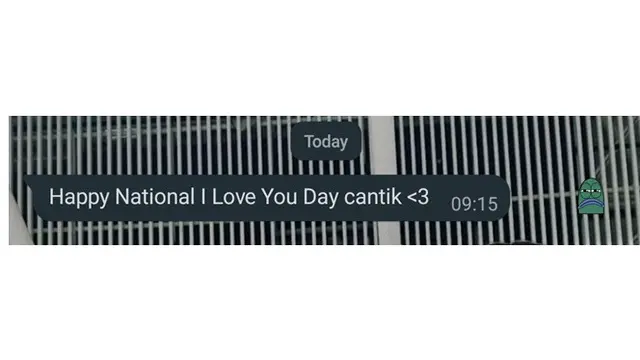 6 Chat Happy National I Love You Day dari Pacar Ini Bikin Baper