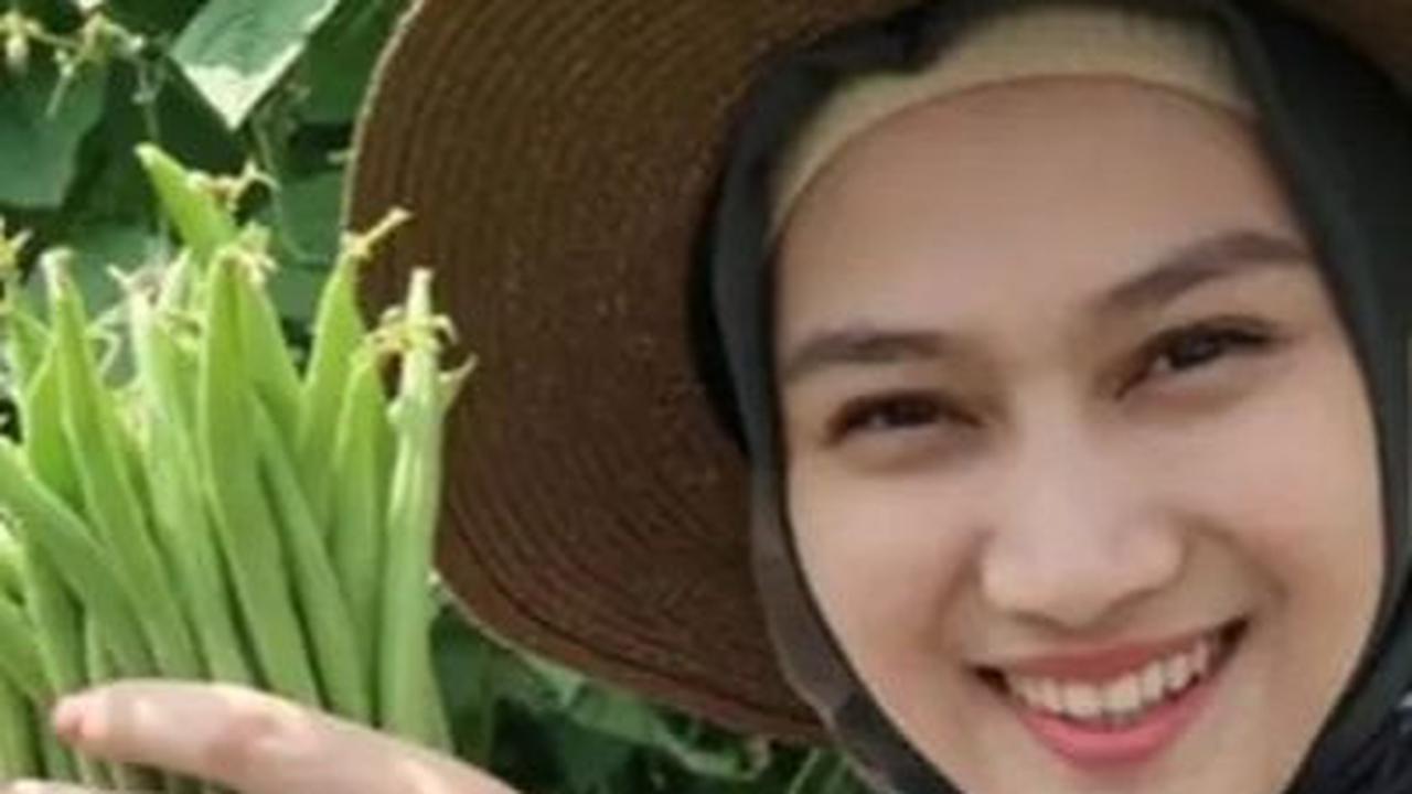 Ternyata, Melody memiliki lahan pertanian plasma di Cianjur.