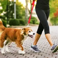 Sebenarnya, berapa banyak sih jumlah langkah yang dibutuhkan tubuh setiap harinya? (Sumber Foto: SteveColeImages/Getty Images)
