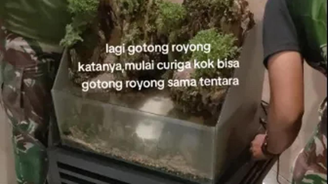 Namun, beberapa waktu kemudian sang wanita pun mulai menaruh curiga. Mulai dari aktivitas si pria yang dekat dengan para tentara hingga seragam loreng membuatnya kian penasaran.