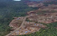 Daerah Berhasil Jaga Hutan dan Tekan Deforestasi Bisa Dapat Dana Miliaran Rupiah, Begini Syaratnya