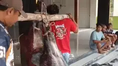 Celeng Terobos Masjid Akhirnya Ditembak, Daging Dibagi dan Dimasak